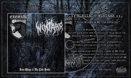 Elegiac / Wintaar - Iron Wings & My Cold Paths CD