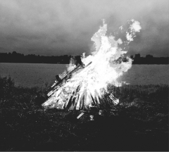 Hämys - KISIKILLILLVKX DIGI-MCD